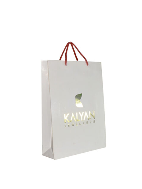 Paper Bag / 13" X 10" X 3" / White