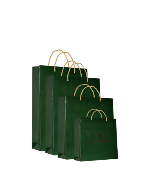 Paper Bag / Croco Green