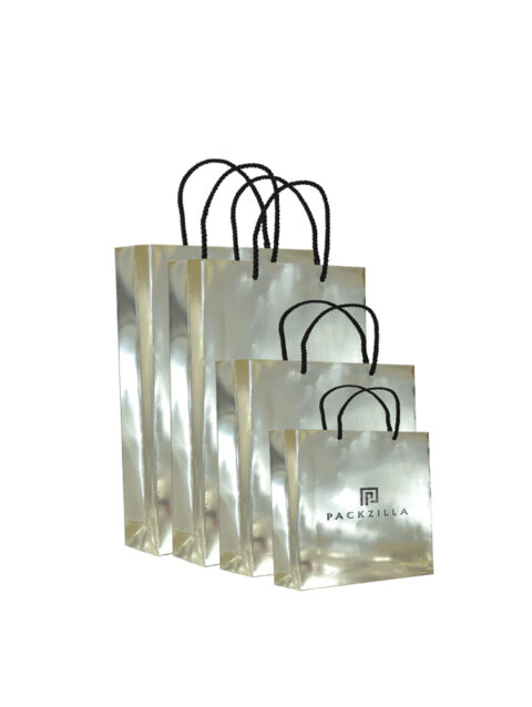 Paper Bag / Silver